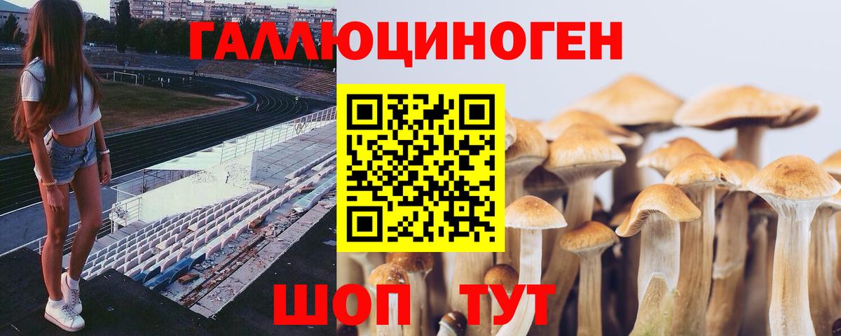 Майкоп  Псилоцибиновые грибы мицелий  Вход с VPN 